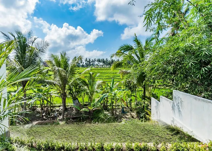 Padi Luwih * Ubud